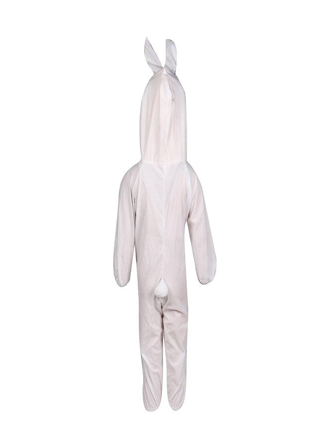Fancy Agents Rabbit animal Costume, Animal Rabbit Dress/Costume for Kids, Fancy Dress for Kid Bird on Wild Animal function, Halloween, School Annual Function, Theme, Cosplay- White/Brown - Image 2
